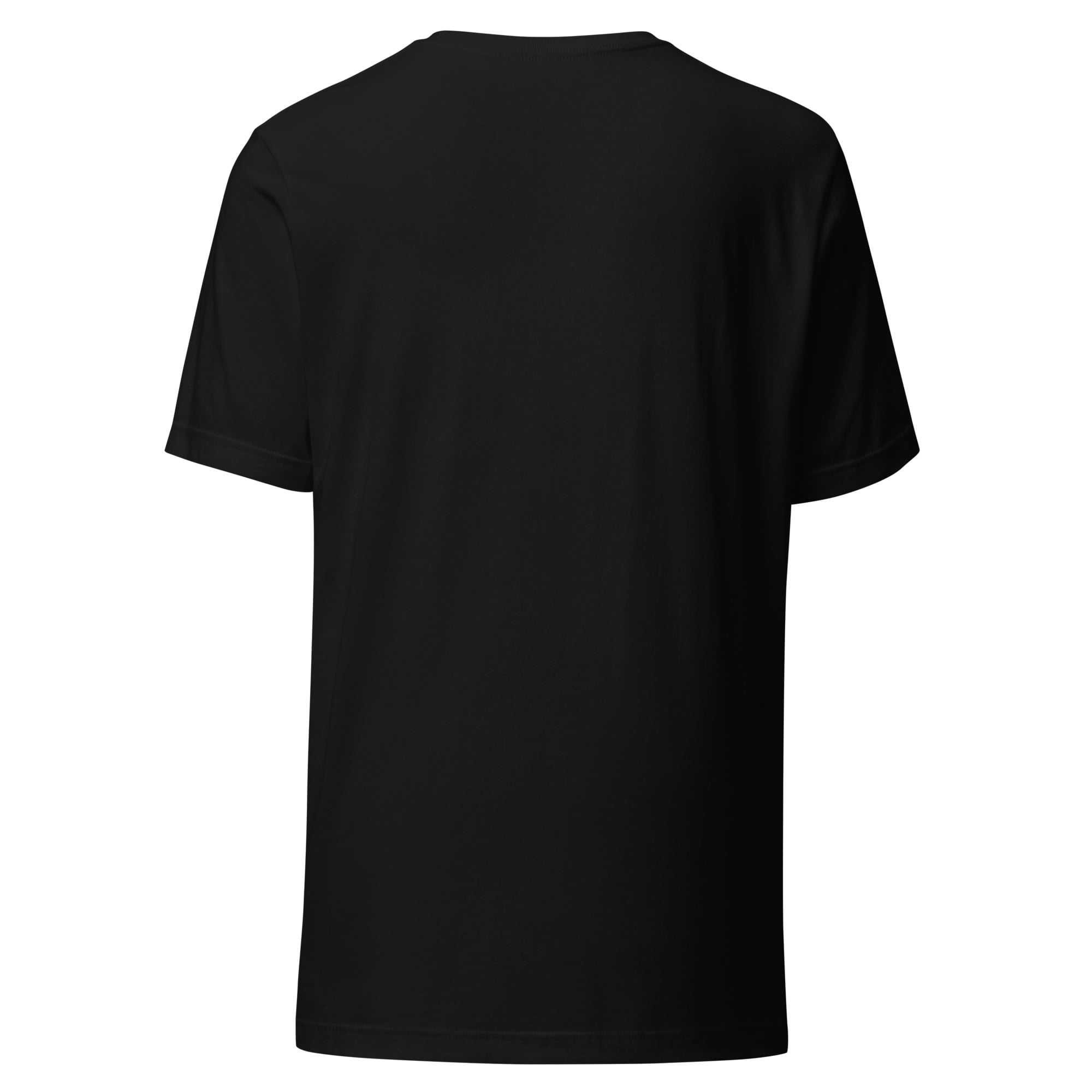 unisex-staple-t-shirt-black-back-69c18e5b93ff7.jpg